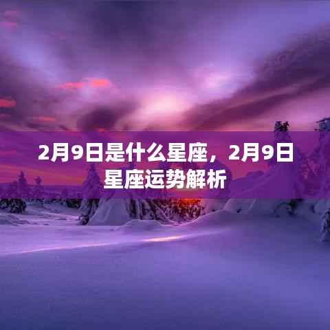 2月9日是什么星座，2月9日星座运势解析
