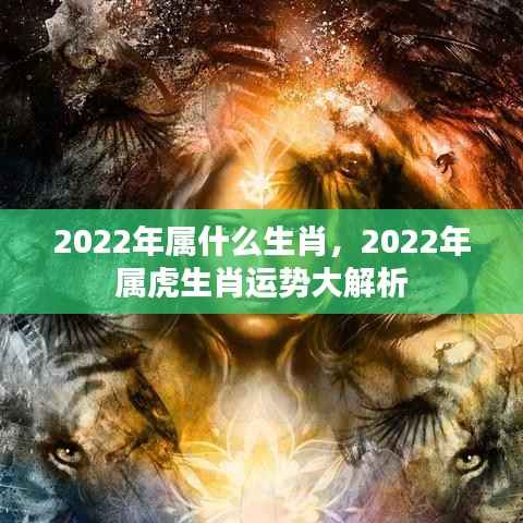 2022年属虎生肖运势全面解析