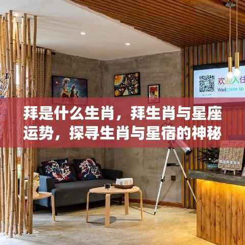 探寻生肖之谜，拜的生肖与星座运势的神秘联系