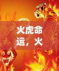 烈火中的坚韧与成功之光，火虎命运揭秘
