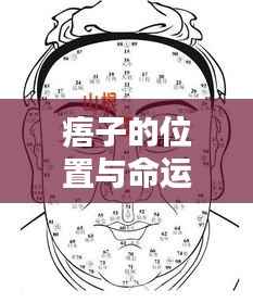 飞檐走壁 第5页