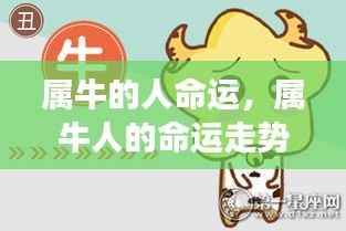 属牛人的稳健前行与命运走势，收获与成长并存。