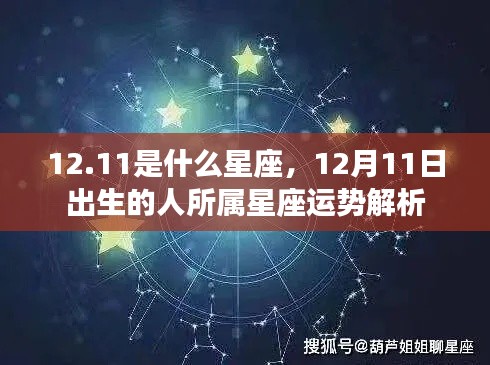 12月11日出生者的星座运势解析，探寻性格与未来走向