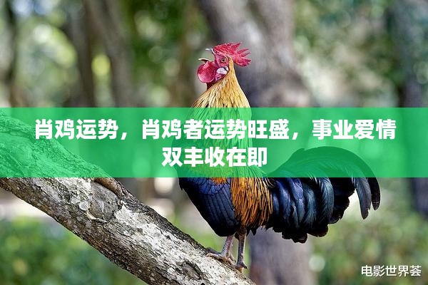 肖鸡运势大解析，事业爱情双丰收在即
