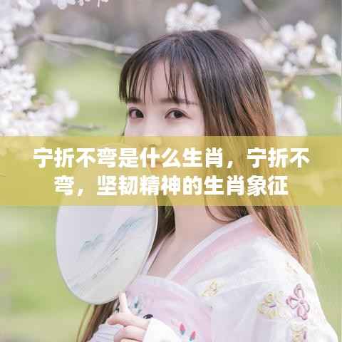 宁折不弯，坚韧精神的生肖象征解读揭秘