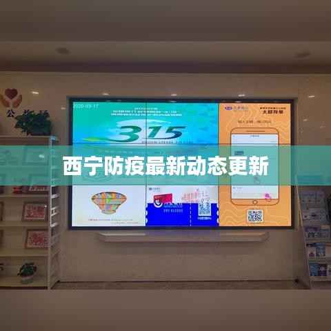 物稀为贵 第3页