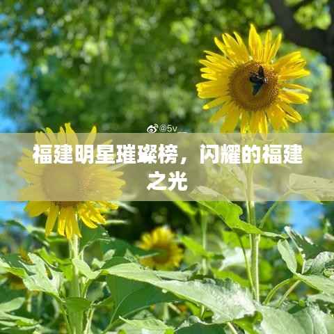 福建明星璀璨榜，闪耀的福建之光